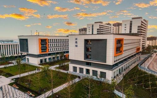 重庆大学城最新爆料